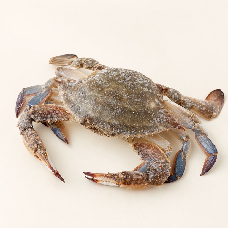 꽃게/냉동 AI 생성 대표 이미지