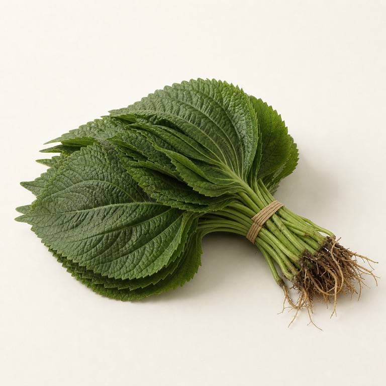 깻잎/깻잎 AI 생성 대표 이미지