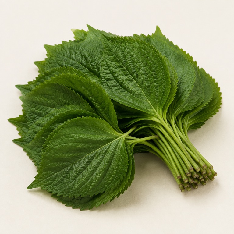 깻잎/깻잎 AI 생성 대표 이미지