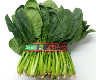 시금치(250~400g) 실물 상품 이미지
