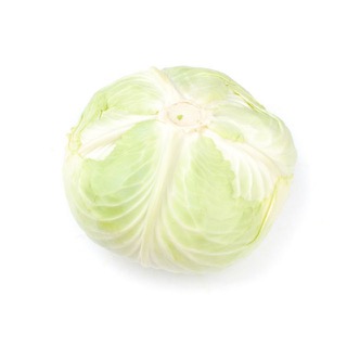 양배추 실물 상품 이미지